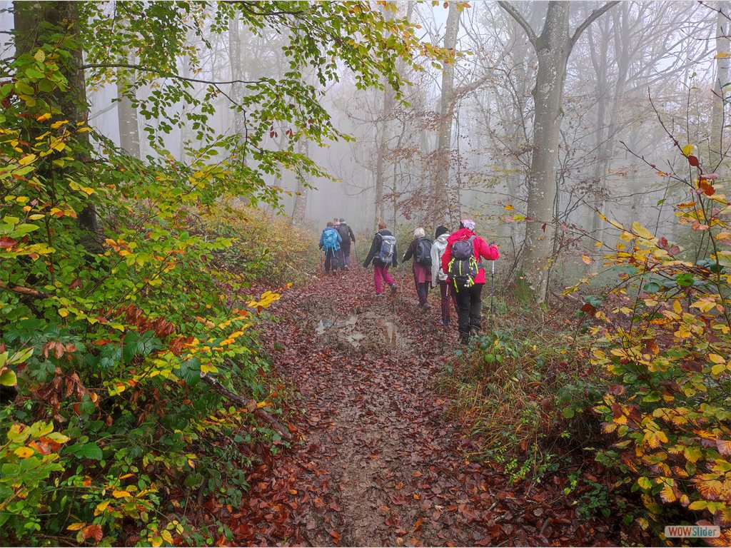 1- montée au col de la Miallle dans le brouillard