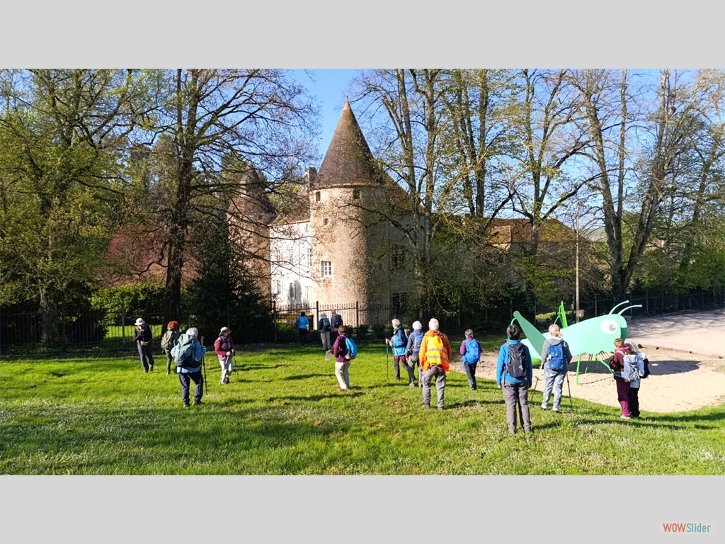1-Ancien château médiéval de Moissey