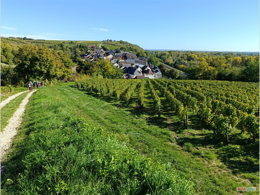 5- vignoble de Pouilly-Fumé