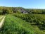 5- vignoble de Pouilly-Fumé