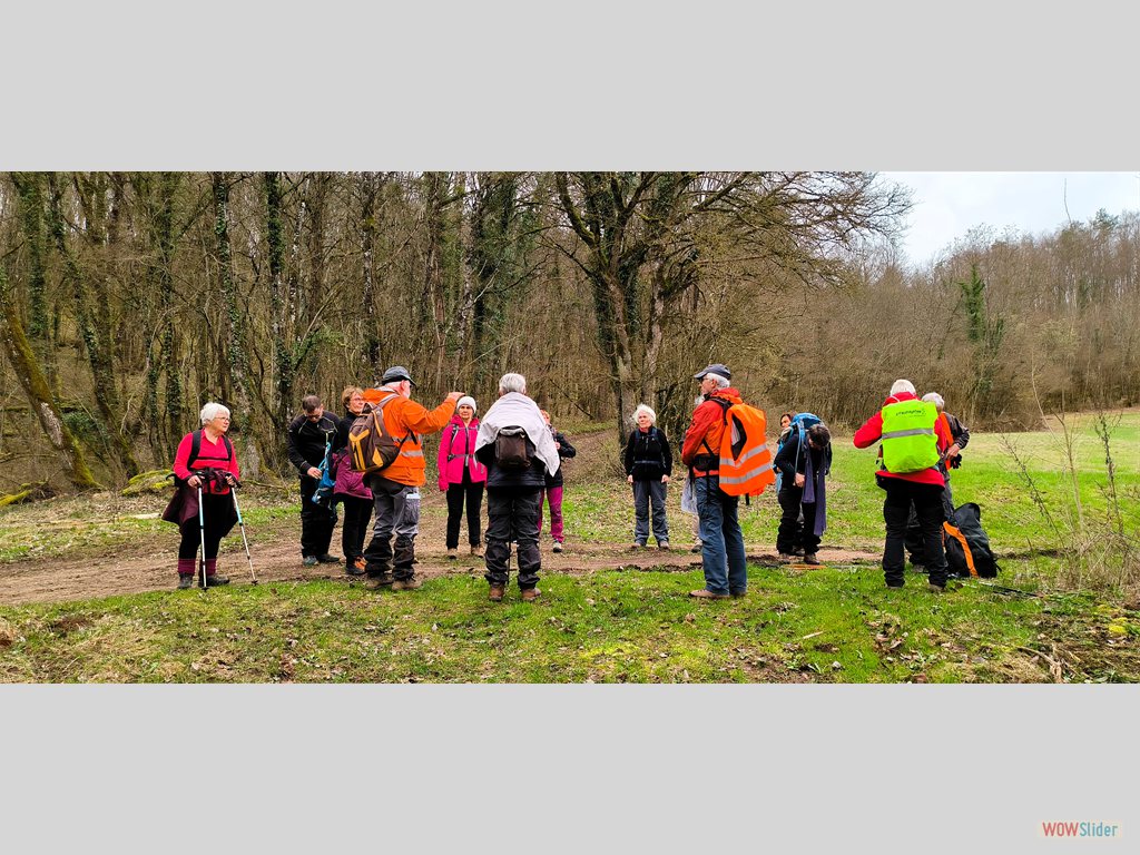 3-dans les bois de Salives