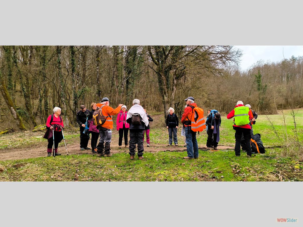 3-dans les bois de Salives